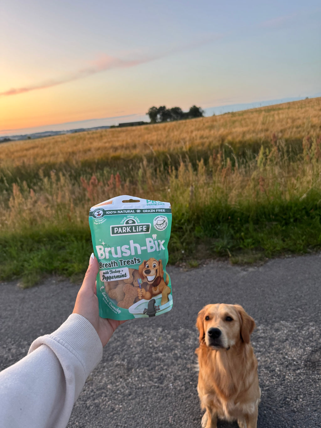 Brush-Bix Hundekiks Kalkun & Pebermynte