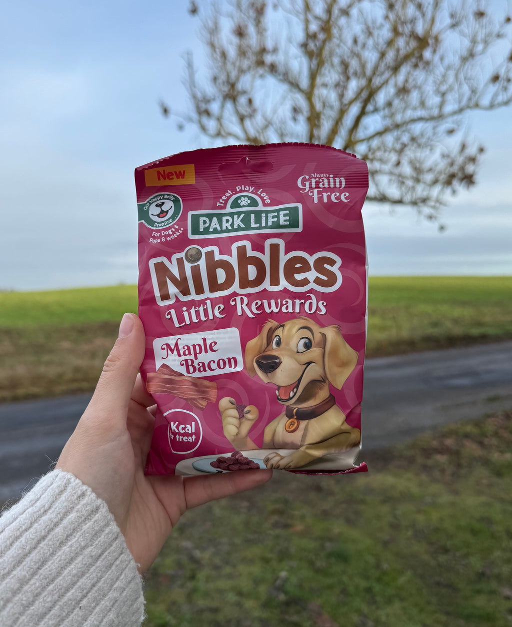 Nibbles Små Belønninger Ahorn Bacon Smag