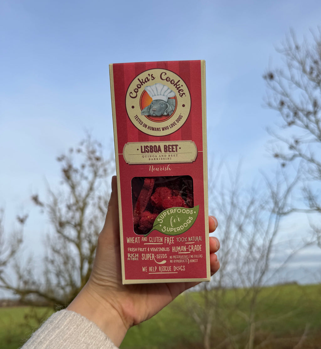 Hundegodbidder med rødbede og quinoa