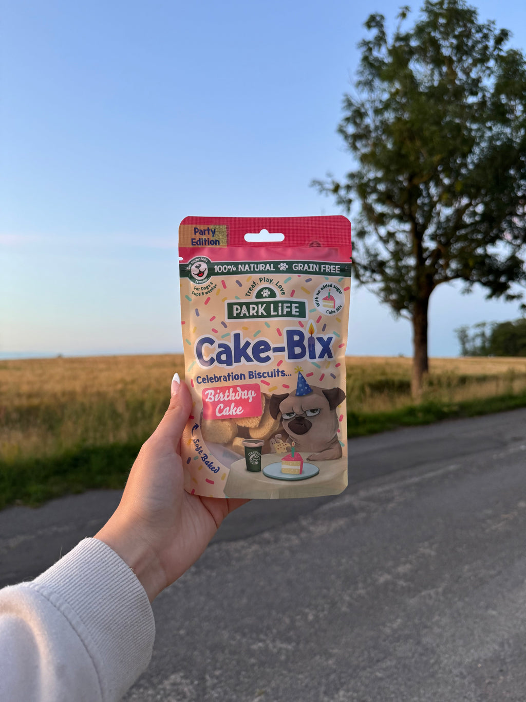 Cake-Bix Hundekiks Fødselsdagskiks